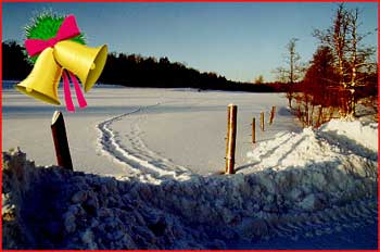 Swedish winter in Tyreso.