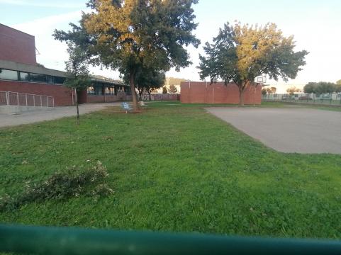 Our school.