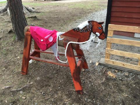 En av två nya hästar som kommer att tas omhand av eleverna på Kobben. 