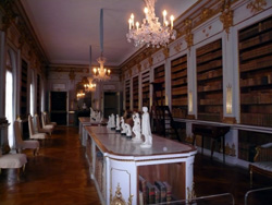 The library