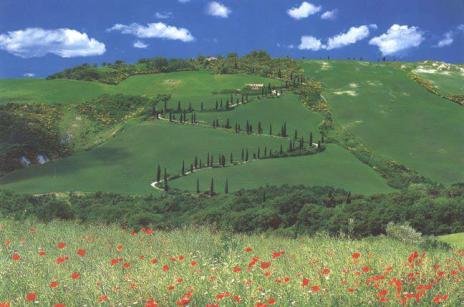 Spring in Tuscany.
